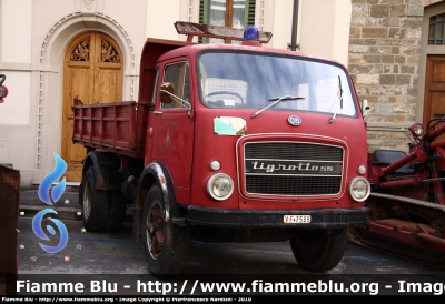 OM Tigrotto 55
Vigili del Fuoco
Comando Provinciale di Firenze
Automezzo storico
VF 7589
Parole chiave: OM Tigrotto_55 VF7589