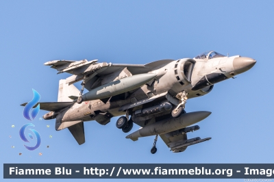 McDonnell Douglas-BAe AV-8B Harrier II Plus
Marina Militare Italiana
GRUPAER 
MariStAer Grottaglie
s/n 1-08
MM 7214
Parole chiave: McDonnell Douglas-BAe AV-8B_Harrier_II_Plus