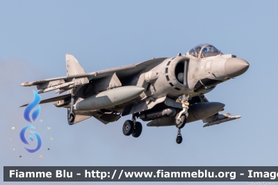 McDonnell Douglas-BAe AV-8B Harrier II Plus
Marina Militare Italiana
GRUPAER 
MariStAer Grottaglie
s/n 1-16
MM 7222
Parole chiave: McDonnell Douglas-BAe AV-8B_Harrier_II_Plus