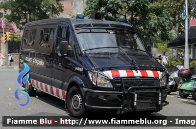 Mercedes-Benz Sprinter III serie
España - Spagna
Mossos d'Esquadra
Brigada Mòbil
CME 0115
Parole chiave: Mercedes-Benz Sprinter_IIIserie CME0115