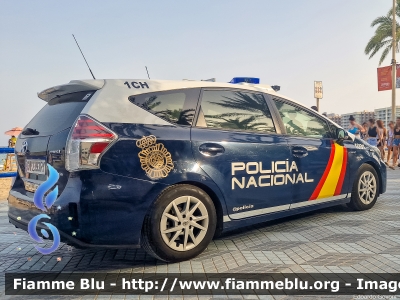 Toyota Prius +
España - Spagna
Cuerpo Nacional de Policìa
CNP 2393 RY
1CH
Parole chiave: Toyota Prius+ CNP2393RY