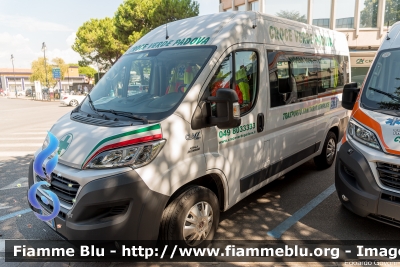 Fiat Ducato X290
Pia Opera Croce Verde di Padova (PD)
Trasporto Sanitario Semplice
Allestito Class-Orion
Codice Automezzo: 205
Parole chiave: Fiat Ducato_X290 JEAS-2022