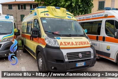 Fiat Ducato X250
Misericordia Carmignano (PO)
Allestita Alessi & Becagli
Ex Misericordia di Vaglia
Codice Automezzo: 110
Parole chiave: Fiat Ducato_X250 Ambulanza