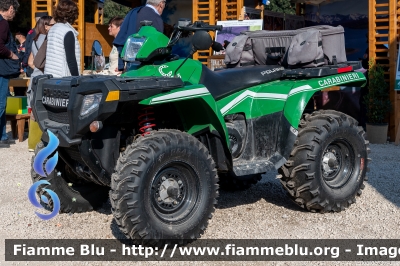 Polaris Sportsman
Carabinieri
Comando Carabinieri Unità per la tutela Forestale, Ambientale e Agroalimentare
CC A4931
Parole chiave: Polaris Sportsman CC A4931