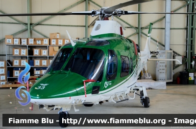 Agusta Westland AW109 Nexus
Corpo Forestale dello Stato
Servizio Aereo
CFS 33
Parole chiave: Agusta Westland AW109_Nexus roma_drone_show_2015