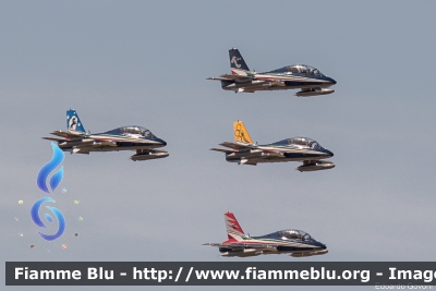 Aermacchi MB339PAN
Aeronautica Militare Italiana
313° Gruppo Addestramento Acrobatico
Stagione esibizioni 2021
Festa della Repubblica
Parole chiave: Aermacchi MB339PAN