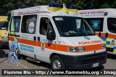 Fiat Ducato II serie
Misericordia Orciano Pisano (PI)
Allestita MAF
Parole chiave: Fiat Ducato_IIserie Ambulaza