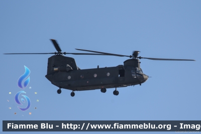 Boeing CH-47C Chinook
Esercito Italiano
Aviazione dell'Esercito
EI 835
Parole chiave: Boeing CH-47C_Chinook