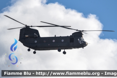 Boeing CH-47C Chinook
Esercito Italiano
Aviazione dell'Esercito
EI 835
Parole chiave: Boeing CH-47C_Chinook