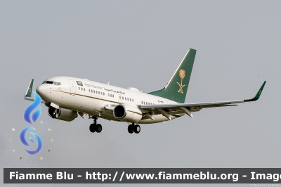 Boeing 737-7FG - BBJ
المملكة العربية السعودية - Saudi Arabia - Arabia Saudita
Saudi Arabia Governament
HZ-MF1
Parole chiave: Boeing 737-7FG