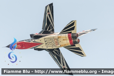 Panavia Tornado IDS
Aeronautica Militare Italiana
Reparto Sperimentale Volo
311° Gruppo Volo
Special Color 60° Anniversario RSV
CSX 7041
RS-01

European Air Show Jesolo 2017
Parole chiave: Panavia Tornado_IDS Jesolo_EAS-2017