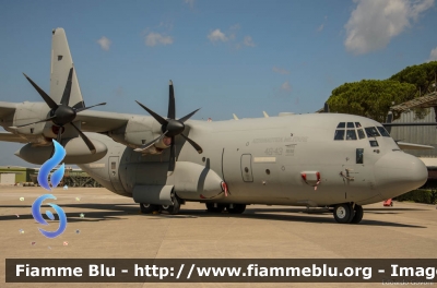 Lockheed C-130J Hercules
Aeronautica Militare Italiana
46° Brigata Aerea
46-43
Parole chiave: Lockheed C-130J_Hercules