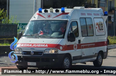 Fiat Ducato III serie
Croce Rossa Italiana
Comitato Locale di Cesenatico (FC)
Allestita Vision
CRI A302C
Parole chiave: Fiat Ducato_IIIserie Ambulanza CRIA302C