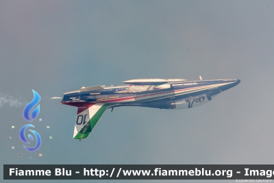 Aermacchi MB339PAN
Aeronautica Militare Italiana
313° Gruppo Addestramento Acrobatico
Stagione esibizioni 2019
Valore Tricolore
Parole chiave: Aermacchi MB339PAN