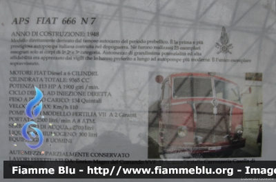 Fiat 666N7
Vigili del Fuoco
Museo Storico dei Vigili del Fuoco di Mantova
AutoPompaSerbatoio allestimento Viberti
VF 3512
Parole chiave: Fiat 666N7 VF3512 SantaBarbara_2015_Milano