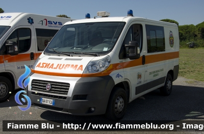 Fiat Ducato X250
Croce Verde Marina di Massa (MS)
Allestita Mobitecno
Parole chiave: Fiat Ducato_X250 Ambulanza HEMS_2013