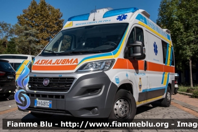 Fiat Ducato X290
86 - Misericordia di Pisa
Allestimento Mariani Fratelli
Parole chiave: Fiat Ducato_X290 Ambulanza