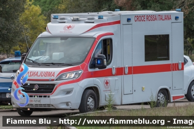 Fiat Ducato X290
Croce Rossa Italiana
Comitato di Pisa
Allestita Odone
CRI 743 AE
Parole chiave: Fiat Ducato_X290 Ambulanza CRI743AE