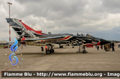 Panavia Tornado IDS
Aeronautica Militare Italiana
Reparto Sperimentale Volo
311° Gruppo Volo
Special Color 60° Anniversario RSV
CSX 7041
RS-01
Parole chiave: Panavia Tornado_IDS Pisa_AirShow_2017