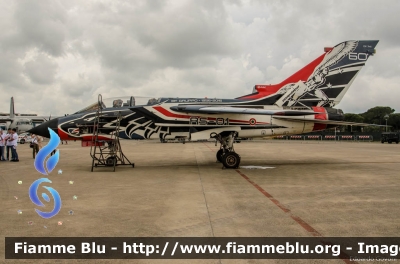 Panavia Tornado IDS
Aeronautica Militare Italiana
Reparto Sperimentale Volo
311° Gruppo Volo
Special Color 60° Anniversario RSV
CSX 7041
RS-01
Parole chiave: Panavia Tornado_IDS Pisa_AirShow_2017