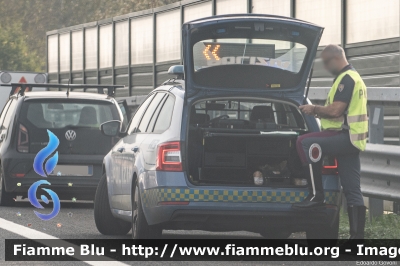 Skoda Octavia Wagon V serie
Polizia di Stato
Polizia Autostradale in servizio sulla rete Autostrade per l'Italia SPA
Allestimento Focaccia
Con nuovo logo societario
Parole chiave: Skoda Octavia_Wagon_Vserie