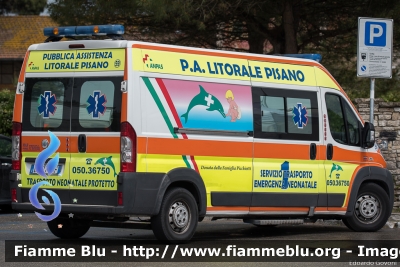 Fiat Ducato X250
59 - Pubblica Assistenza Litorale Pisano
Trasporto Neonatale Protetto
Allestita MAF
Parole chiave: Fiat Ducato_X250 Ambulanza