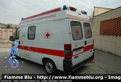 Fiat Ducato II Serie
Ambulanza Adibita al servizio neonatale, con gruppo elettrogeno e culla termica
Parole chiave: Fiat_Ducato_II  Ambulanza Croce_Rossa Alessi_&_Becagli Neonatale