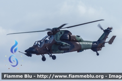 Eurocopter EC 665 Tigre
France - Francia
Armee de Terre
BHK
Parole chiave: Eurocopter EC_665_Tigre BHK