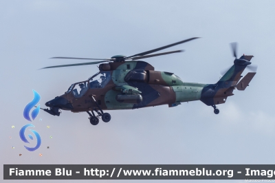 Eurocopter EC 665 Tigre
France - Francia
Armee de Terre
BHK
Parole chiave: Eurocopter EC_665_Tigre BHK