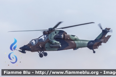 Eurocopter EC 665 Tigre
France - Francia
Armee de Terre
BHK
Parole chiave: Eurocopter EC_665_Tigre BHK