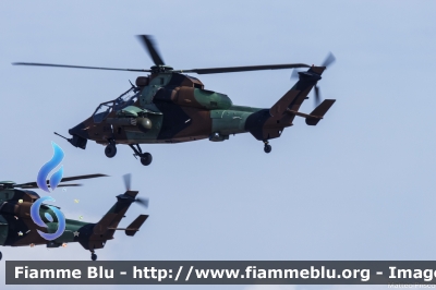 Eurocopter EC 665 Tigre
France - Francia
Armee de Terre
BHK
Parole chiave: Eurocopter EC_665_Tigre BHK