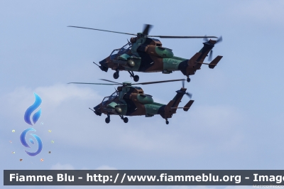 Eurocopter EC 665 Tigre
France - Francia
Armee de Terre
BHK
Parole chiave: Eurocopter EC_665_Tigre BHK