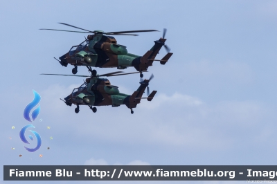 Eurocopter EC 665 Tigre
France - Francia
Armee de Terre
BHK
Parole chiave: Eurocopter EC_665_Tigre BHK