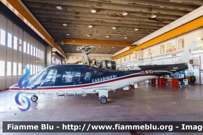 Agusta A109 Nexus
Carabinieri
Fiamma 53
Parole chiave: Agusta A109_Nexus CC53