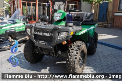 Polaris Sportsman
Carabinieri
Comando Carabinieri Unità per la tutela Forestale, Ambientale e Agroalimentare
CC A4931
Parole chiave: Polaris Sportsman CCA4931