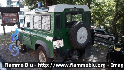 Land Rover Defender 90
Carabinieri
Comando Carabinieri Unità per la tutela Forestale, Ambientale e Agroalimentare
Direzione Generale per la Protezione della Natura
CC BU 081
Parole chiave: Land_Rover Defender_90 CCBU081