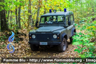 Land-Rover Defeder 90
Arma dei Carabinieri
Comando Carabinieri Unità per la tutela Forestale, Ambientale e Agroalimentare
CC BY950
Parole chiave: Land-Rover Defeder_90 CCBY950