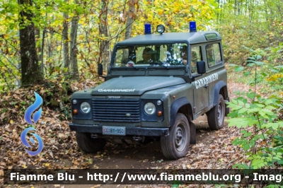 Land-Rover Defeder 90
Arma dei Carabinieri
Comando Carabinieri Unità per la tutela Forestale, Ambientale e Agroalimentare
CC BY950
Parole chiave: Land-Rover Defeder_90 CCBY950