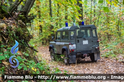 Land-Rover Defeder 90
Arma dei Carabinieri
Comando Carabinieri Unità per la tutela Forestale, Ambientale e Agroalimentare
CC BY950
Parole chiave: Land-Rover Defeder_90 CCBY950