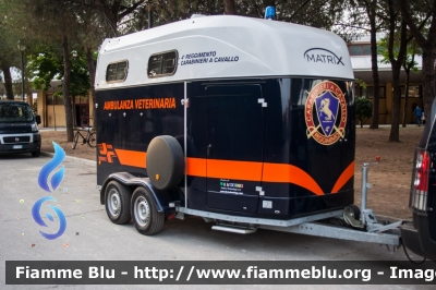 Carrello Trailer Thiel Matrix
Carabinieri
4° Reggimento a Cavallo
Ambulanza Veterinaria
Allestimento Thiel
CCr BY741

203° Anniversario
dell'Arma dei Carabinieri
Parole chiave: Carrello Trailer_Thiel_Matrix CCrBY741 festa_carabinieri_2017