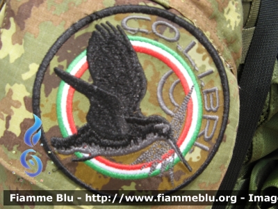 Patch Unità Colibrì
Aeronautica Militare Italiana
