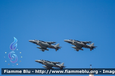 McDonnell Douglas-BAe AV-8B Harrier II Plus
Marina Militare Italiana
MM 08
MM 12
MM 13
Parole chiave: McDonnell Douglas-BAe AV-8B_Harrier_II_Plus