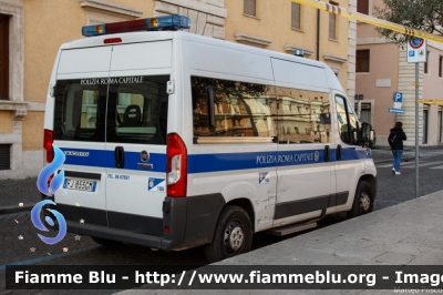 Fiat Ducato X290
Polizia Roma Capitale
186
Parole chiave: Fiat Ducato_X290