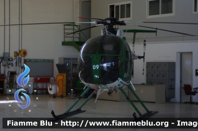 Breda Nardi NH500
Corpo Forestale dello Stato
Servizio Aereo
CFS 09
Parole chiave: Breda_Nardi NH500 roma_drone_show_2015