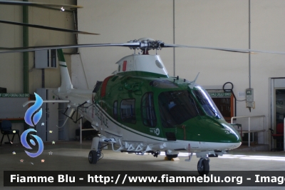 Agusta Westland AW109 Nexus
Corpo Forestale dello Stato
Servizio Aereo
CFS 34
Parole chiave: Agusta_Westland AW109_Nexus roma_drone_show_2015