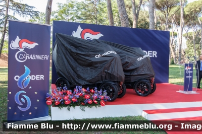 Quadro Vehicles Qooder
Carabinieri
Nucleo Operativo e Radiomobile
Parole chiave: Quadro-Vehicles Qooder