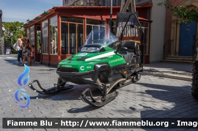 BRP Lynx
Carabinieri
Comando Carabinieri Unità per la tutela Forestale, Ambientale e Agroalimentare
Servizio meteomont 
Parole chiave: BRP Lynx