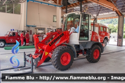 Liebherr L509 Stereo
Vigili del Fuoco
Distretto della Val Di Sole
Veicolo ospitato dal corpo di Malè (TN)
VF 9E8 TN
Parole chiave: Liebherr L509_Stereo VF9E8TN