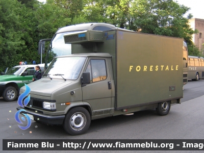 Fiat Ducato I serie
Corpo Forestale dello Stato
CFS 606 AB
Parole chiave: fiat ducato_Iserie cfs606ab