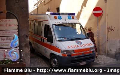 Fiat Ducato II serie 
Croce Bianca L'Aquila
Parole chiave: Abruzzo (AQ) Ambulanza Fiat Ducato_IIserie